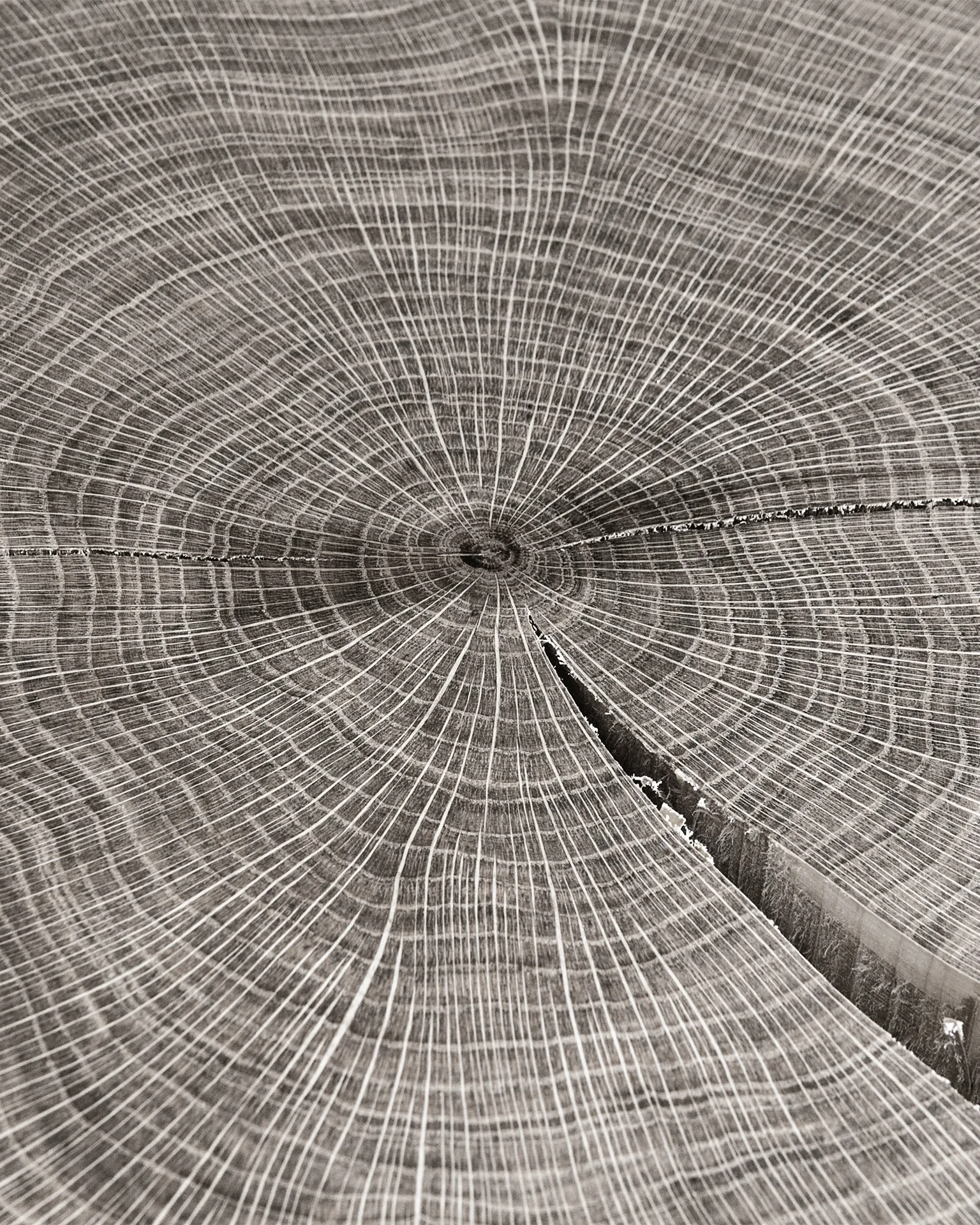 Eggersmann echt hout bookmatch-techniek fineer nerven eiken walnoot Duits maatwerk